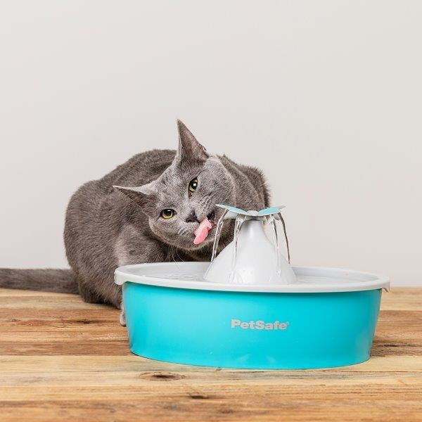 Butterfly Pet Fountain