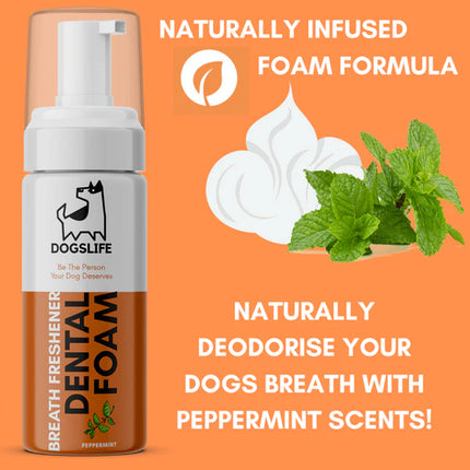 Dental Foam