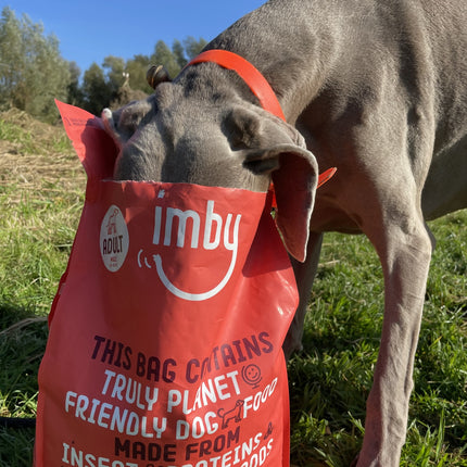 Insect-based Dry Food - Maxi