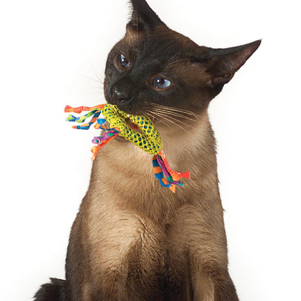 Dental Health Chew