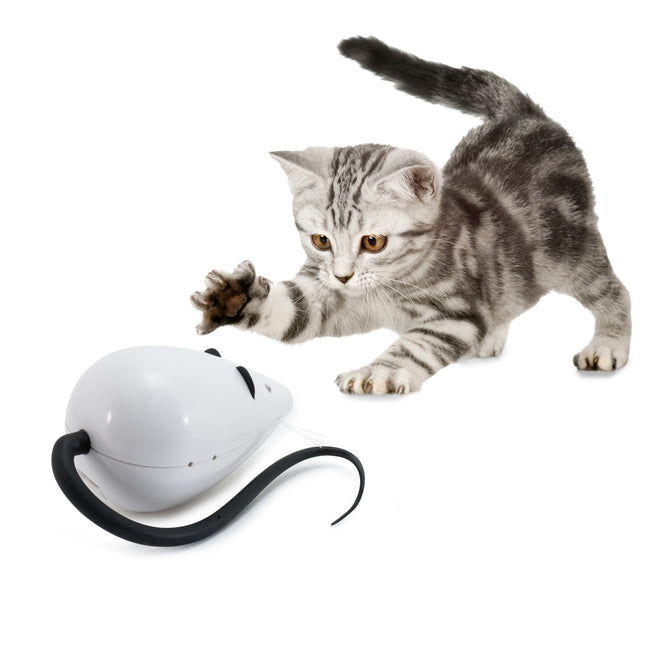 RoloRat Automatic Cat Teaser