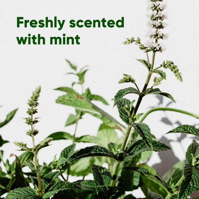 Poop Bags Recycled - Mint Scented Travel Pack (60)
