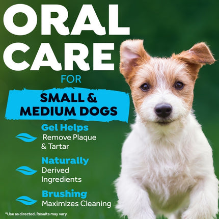 Fresh Breath - Oral Care Kit voor kleine honden