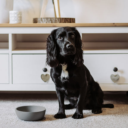 BAMBOO Voerbak voor Honden