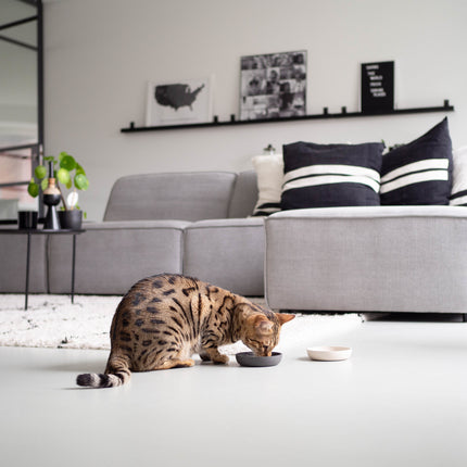 BAMBOO Voerbak voor Katten