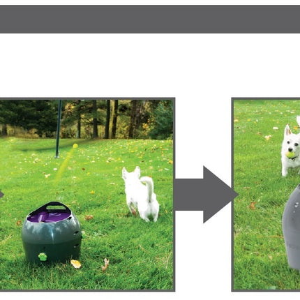 Automatic Ball Launcher