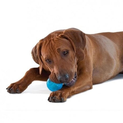 Orka Ball Pet Specialty