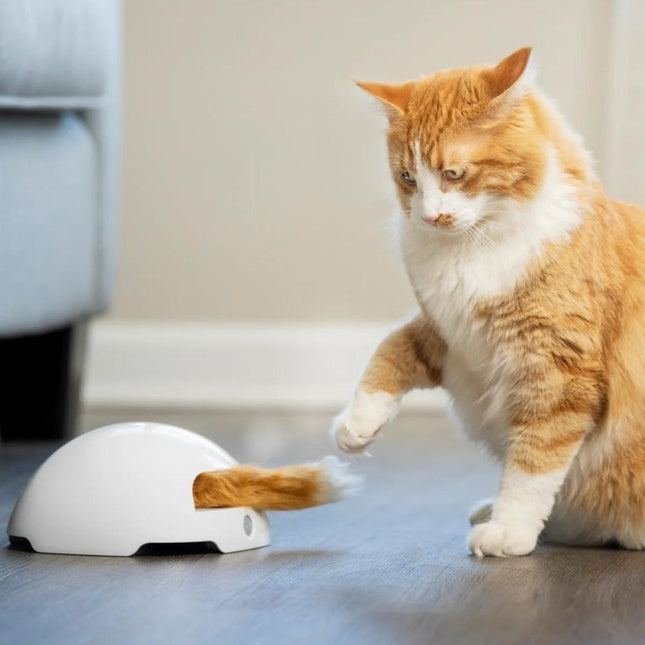 Fox Den Toy Automatic Cat Teaser