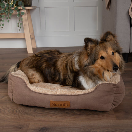 Display Cosy Box Bed Combo - 26 stuks