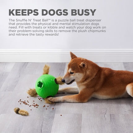 Dog Snuffle N' Treat Ball