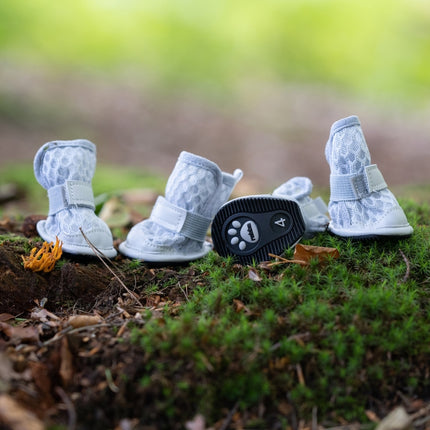 Light Path Shoes 4-pack