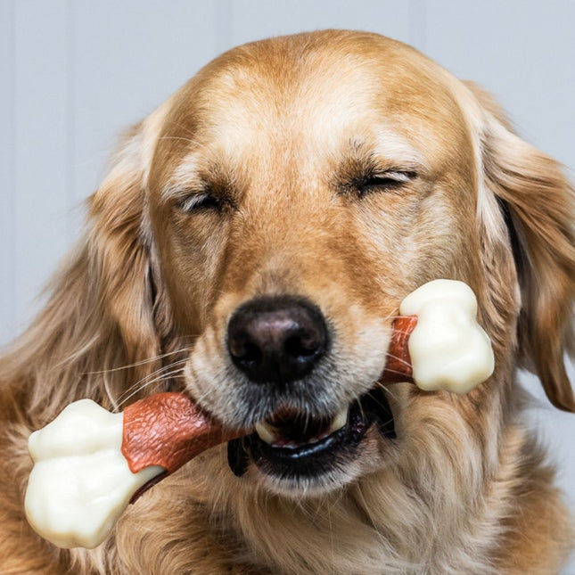 Extreme Chew - Femur- Beef