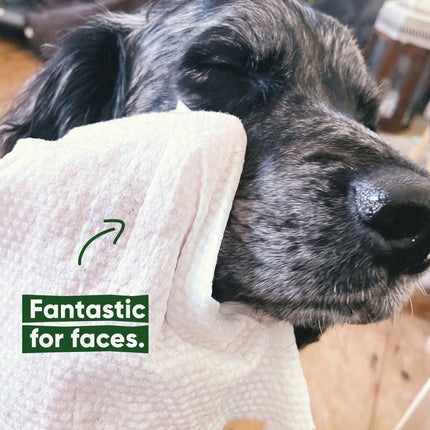 Bamboo Dog Wipes - Coconut Scented - 80 Pack