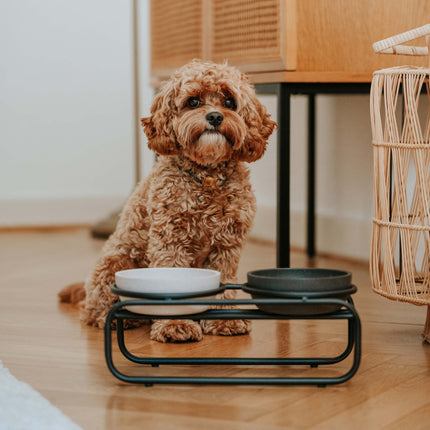 BUTLER Voerbakstandaard voor honden