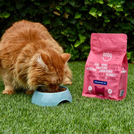 Insektenbasiertes Trockenfutter für Katzen 