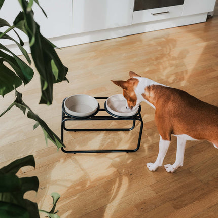 BUTLER Voerbakstandaard voor honden