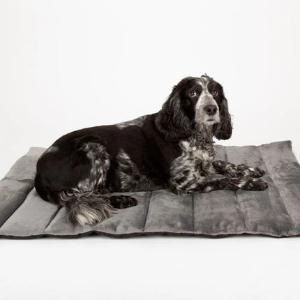 Expedition Roll Up Travel Pet Bed