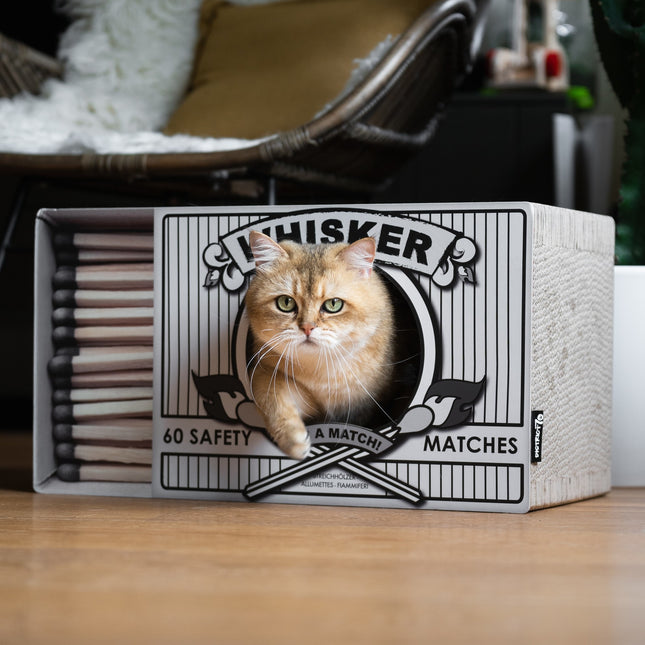 WHISKER