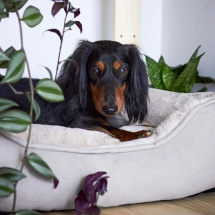 SNUG Box Bed
