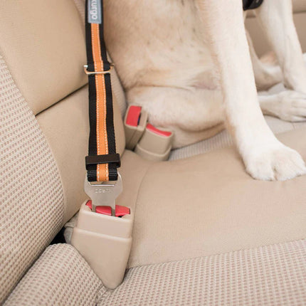 Direct to Seatbelt Tether - Schwarz/Orange