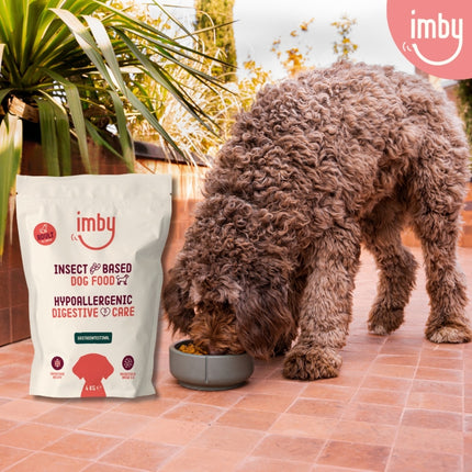 Gastrointestinal Insect-based Dry Food
