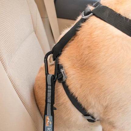 Dog Seatbelt Loop