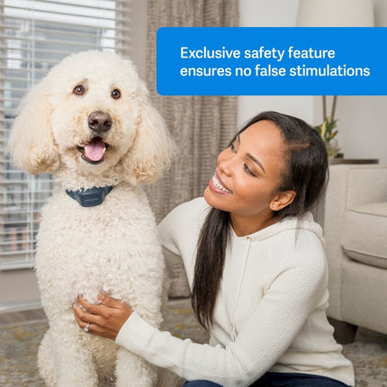 Audible Bark Collar