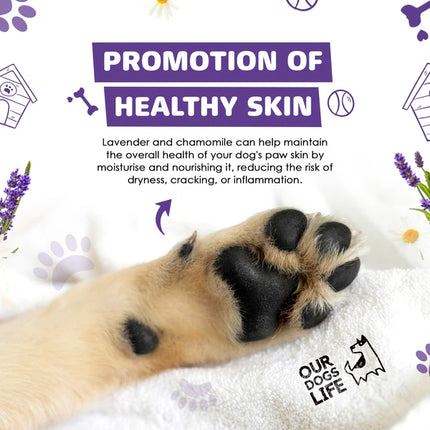 Paw Cleaner with Towel