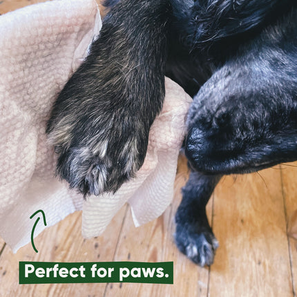 Bamboo Dog Wipes - Unscented - 80 Pack