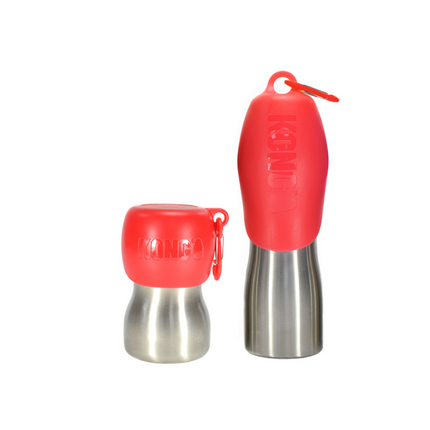 H2O Stainless Steel Water Bottle