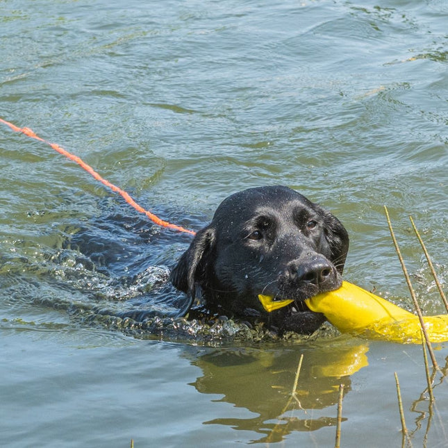 Swim Leash