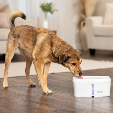 Viva™ Pet Fountain 4.1 L