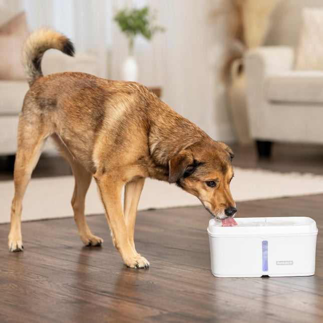 Viva™ Pet Fountain 4.1 L