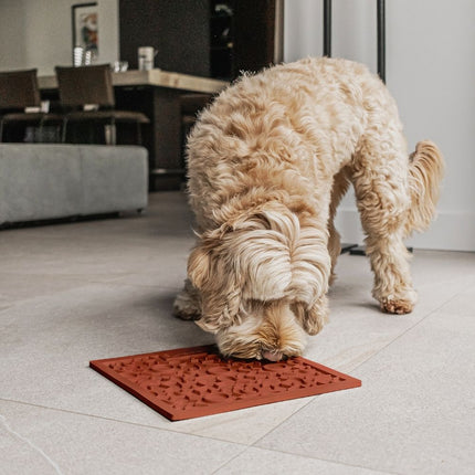 QUEST Likmat voor honden