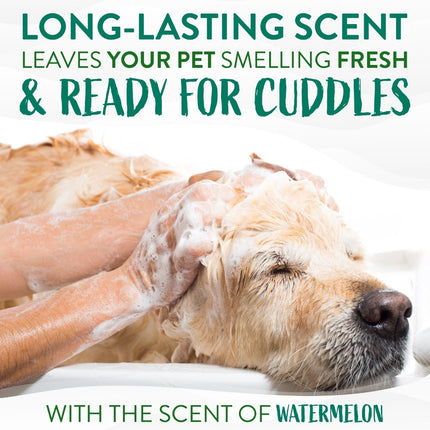 2 in 1 Watermeloen Shampoo - 355ml