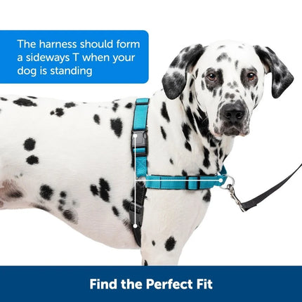 Easy Walk Deluxe Harness