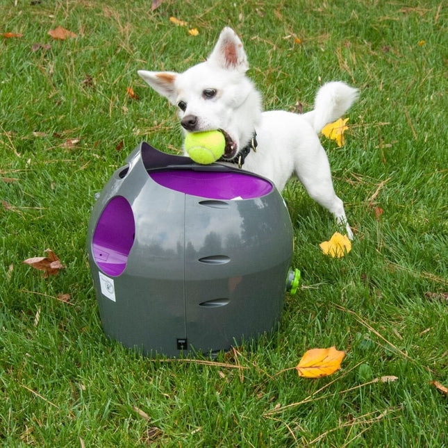 Automatic Ball Launcher