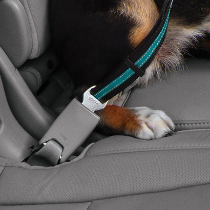 Direct to Seatbelt Swivel Tether - Blauw