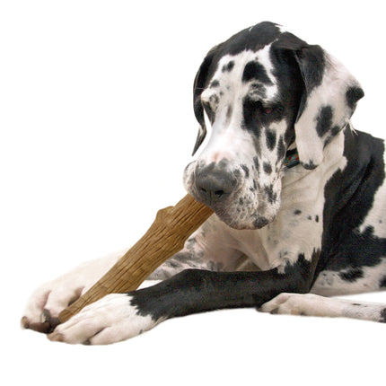Dogwood Durable Stick
