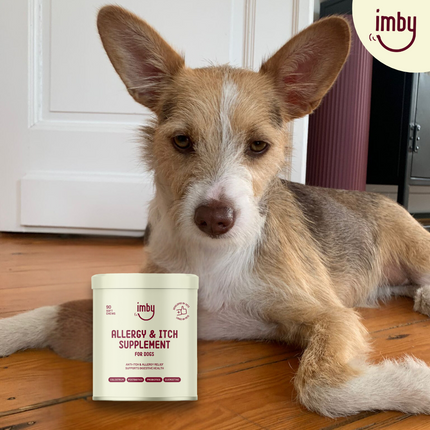 Allergy & Itch Supplement voor honden