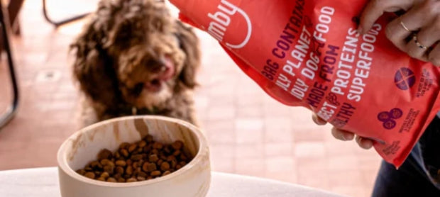 <h4>Fit en gezond, zonder vlees voor de hond?</h4>