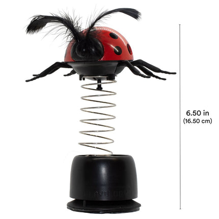 Ladybug Treater