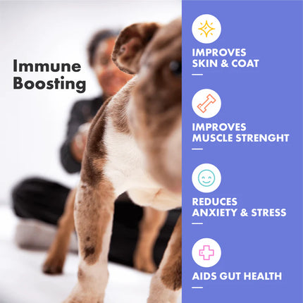 Multifit Plasma Gummies für Hunde