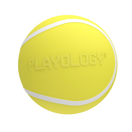 Squeaky Chew Ball