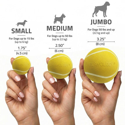 Squeaky Chew Ball
