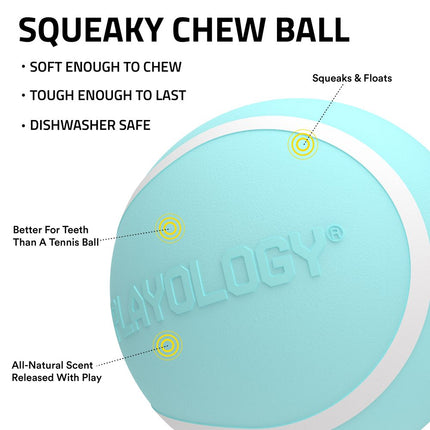 Squeaky Chew Ball