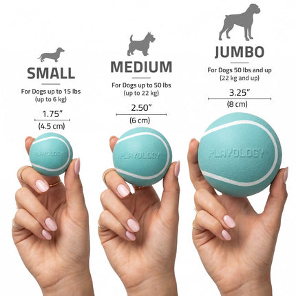 Squeaky Chew Ball