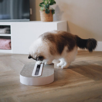 TRACK Kratzspielzeug 