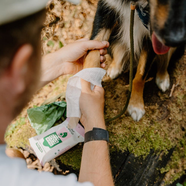 Bambus-Reisetücher - Kokosnussduft - 20er-Pack